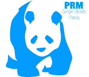 how google algorithm change panda impacts seo for doctors